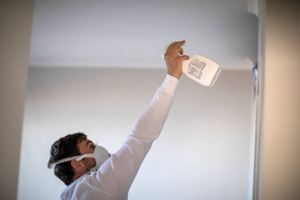 Best Bathroom Mold Remediation in King, WI